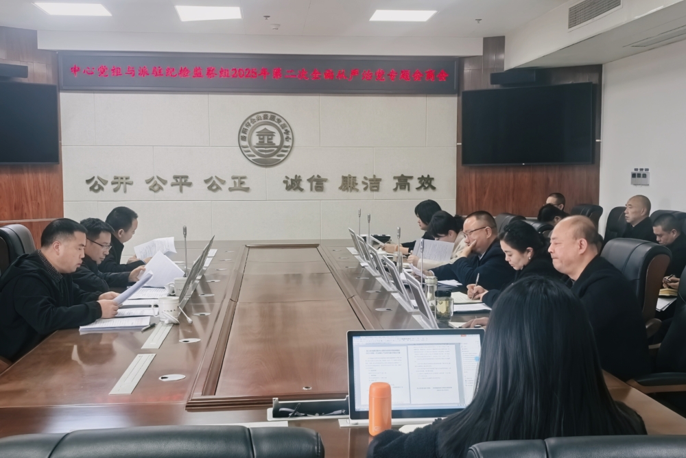 �й�����Դ�������ĵ�����פ�з���ί�ͼ������ٿ�2025��ȵڶ���ȫ������ε�ר����̻�